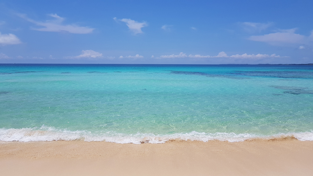 20180604_130421.jpg