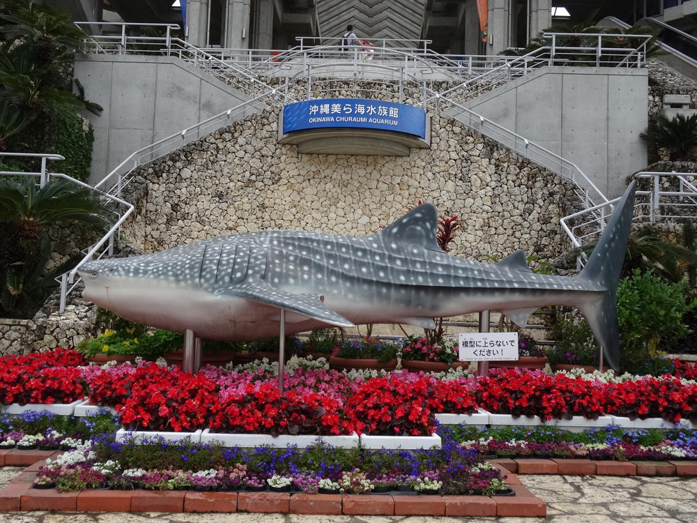 DSC02768.JPG
